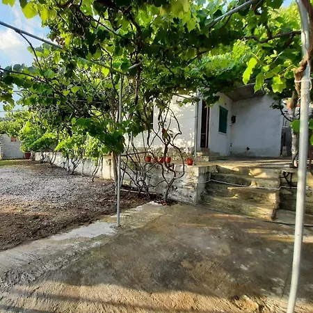 Pensión Jungle House *